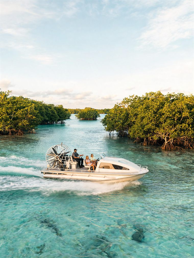 Running the mangrove creeks by boat